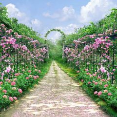 Pretty Garden Photography Scenery Backdrop Garden Scenery Theme Banner MNH-407