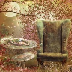 Rotten Chair Photography Scenery Backdrop Indoor Theme Banner MNH-409