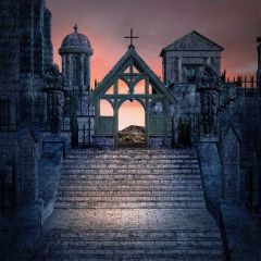 Dark Castle Photography Scenery Backdrop Architectural Theme Banner MNH-414