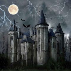 Dark Castle Photography Scenery Backdrop Architectural Theme Banner MNH-417