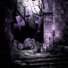 Evil Tomb Photography Scenery Backdrop Halloween Theme Banner MNH-418