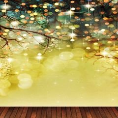 Shiny Spot Photography Scenery Backdrop Starlight Shine Theme Banner MNH-420