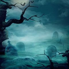 Spooky Tomb Photography Scenery Backdrop Halloween Theme Banner MNH-421