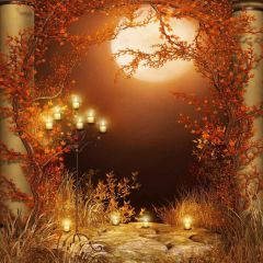 Halloween Moon Photography Scenery Backdrop Halloween Theme Banner MNH-422