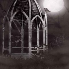 Halloween Night Photography Scenery Backdrop Halloween Theme Banner MNH-425