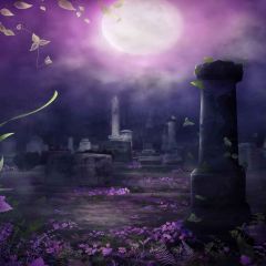 Graveyard Photography Scenery Backdrop Halloween Theme Banner MNH-429