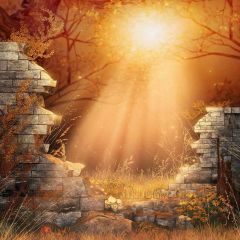 Breaking Walls Photography Scenery Backdrop Halloween Theme Banner MNH-430