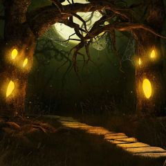 Halloween Night Photography Scenery Backdrop Halloween Theme Banner MNH-431