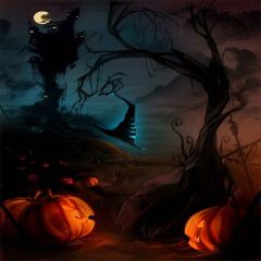 Spooky Night Photography Scenery Backdrop Halloween Theme Banner MNH-432