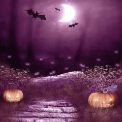 Spooky Bats Photography Scenery Backdrop Halloween Theme Banner MNH-433