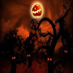 Spooky Night Photography Scenery Backdrop Halloween Theme Banner MNH-439