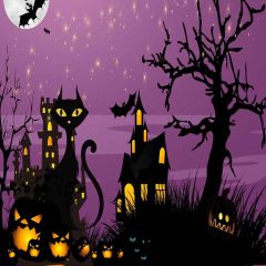 Halloween Night Photography Scenery Backdrop Halloween Theme Banner MNH-441