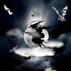 Evil Witch Photography Scenery Backdrop Halloween Theme Banner MNH-443