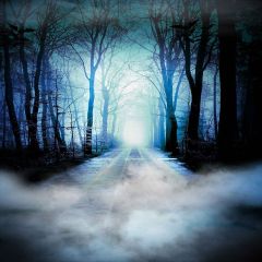 Dark Forest Photography Scenery Backdrop Halloween Theme Banner MNH-445