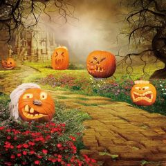Pumpkin Lantern Photography Scenery Backdrop Halloween Theme Banner MNH-446