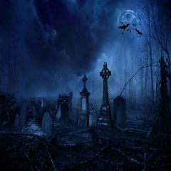 Dark Forest Photography Scenery Backdrop Halloween Theme Banner MNH-465