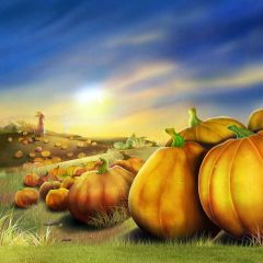 Autumn Pumpkins Photography Scenery Backdrop Autumn Theme Banner MNH-466