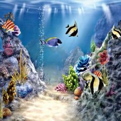 Seabed Fish Shell Sea Grass Photography Scenery Backdrop Ocean Theme Banner MNH-697