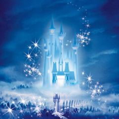 Castle Night Star Photography Scenery Backdrop Cartoon Theme Banner MNH-720