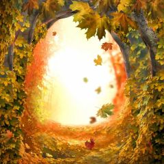 Leaves Sunshine Hope Photography Scenery Backdrop Night Theme Banner MNH-726