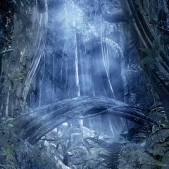 Terror Tree Grass Photography Scenery Backdrop Forest Theme Banner MNH-731