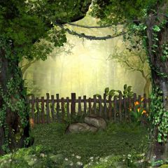 Tree Fence Flower Sunshine Photography Scenery Backdrop Nature Theme Banner MNH-736