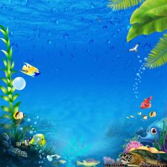 Sea Fish Photography Scenery Backdrop Ocean Theme Banner MNH-755