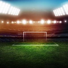 Grass Light Photography Scenery Backdrop Sports Theme Banner MNH-760