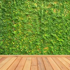 Grass Nature Photography Scenery Backdrop Wall Theme Banner MNH-761