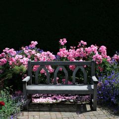 Flower Bench Photography Scenery Backdrop Flowers Theme Banner MNH-765