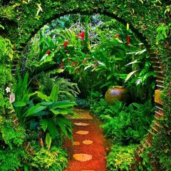 Tree Road Photography Scenery Backdrop Forest Theme Banner MNH-766