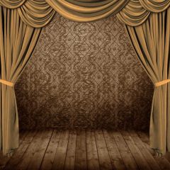 Curtain Floor Photography Scenery Backdrop Stage Carpet Theme Banner MNH-770