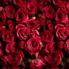 Flower Red Rose Photography Scenery Backdrop Birthday Party Theme Banner MNH-779