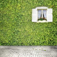 Grass Window Photography Scenery Backdrop Wall Theme Banner MNH-781