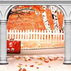 Arch Bag Tree Photography Scenery Backdrop Arches or Pillars Theme Banner MNH-786