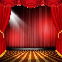 Curtain Wall Photography Scenery Backdrop Stage Carpet Theme Banner MNH-788