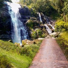 Grass Road Photography Scenery Backdrop Nature Theme Banner MNH-809