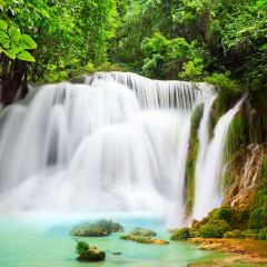 Waterfall Tree Photography Scenery Backdrop Nature Theme Banner MNH-813