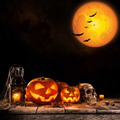 Lantern Moon Bat Photography Scenery Backdrop Halloween Theme Banner MNH-821