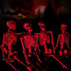 Halloween Ghost Photography Scenery Backdrop Halloween Theme Banner MNH-825