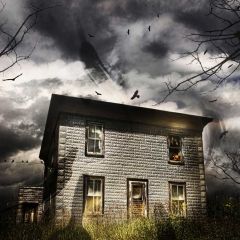 House Bat Photography Scenery Backdrop Halloween Theme Banner MNH-827