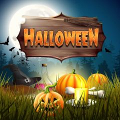 Halloween Lantern Grass Photography Scenery Backdrop Halloween Theme Banner MNH-829
