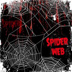 Spider Web Photography Scenery Backdrop Halloween Theme Banner MNH-837