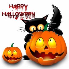 Halloween Pumpkin Lamp Photography Scenery Backdrop Halloween Theme Banner MNH-839