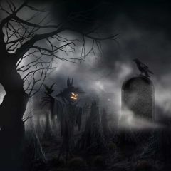 Halloween Ghost Tree Photography Scenery Backdrop Halloween Theme Banner MNH-840