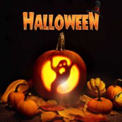 Pumpkin Lamp Halloween Photography Scenery Backdrop Halloween Theme Banner MNH-842