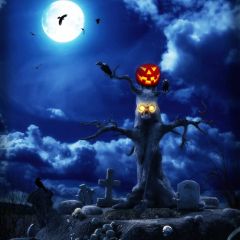 Pumpkin Lamp Moon Photography Scenery Backdrop Halloween Theme Banner MNH-844