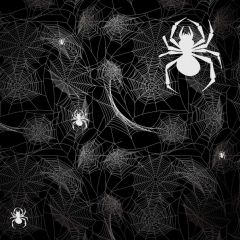 Spider Black Photography Scenery Backdrop Halloween Theme Banner MNH-847