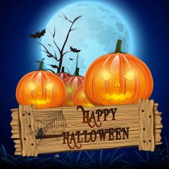 Halloween Pumpkin Lamp Moon Photography Scenery Backdrop Halloween Theme Banner MNH-849