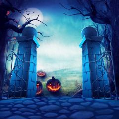 Halloween Pumpkin Lamp Photography Scenery Backdrop Halloween Theme Banner MNH-850